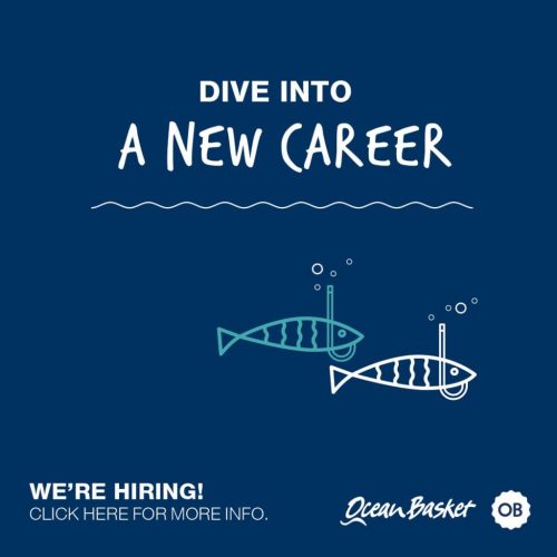 job thumb ocean basket 03.06.2022 1024x1024
